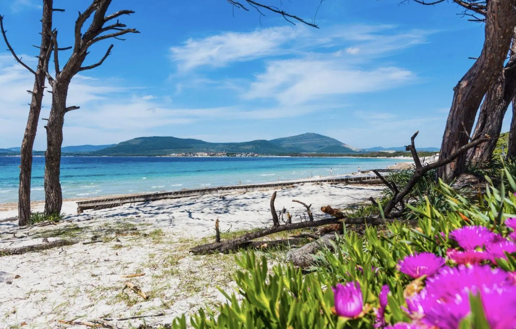 Villa Le Dune A Few Steps From The Sandy Beach Of Maria Pia Alghero Italy